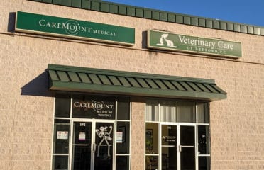 Veterinary Care of Bedford
